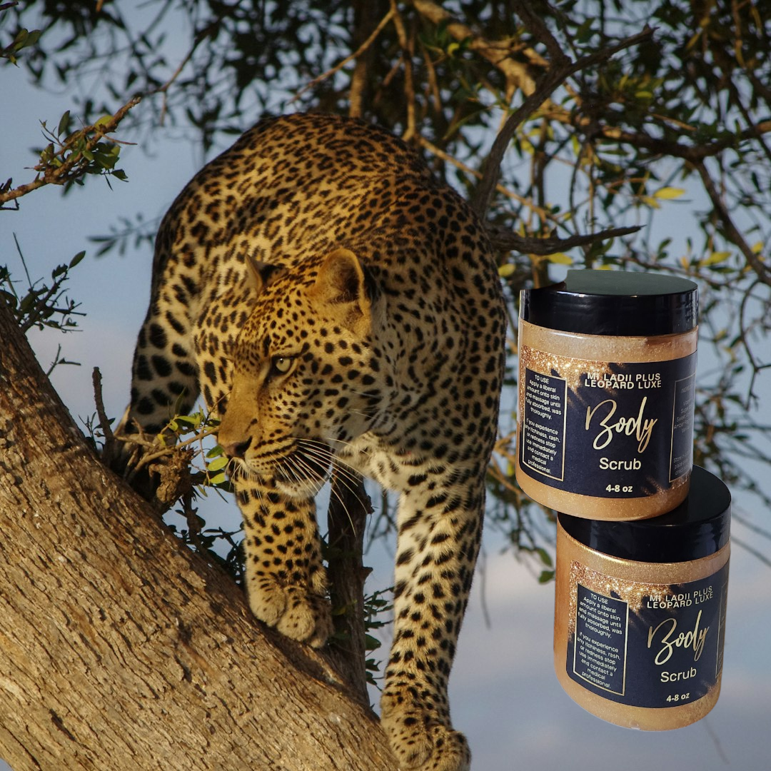 Leopard Luxe 3-Piece Skincare Set