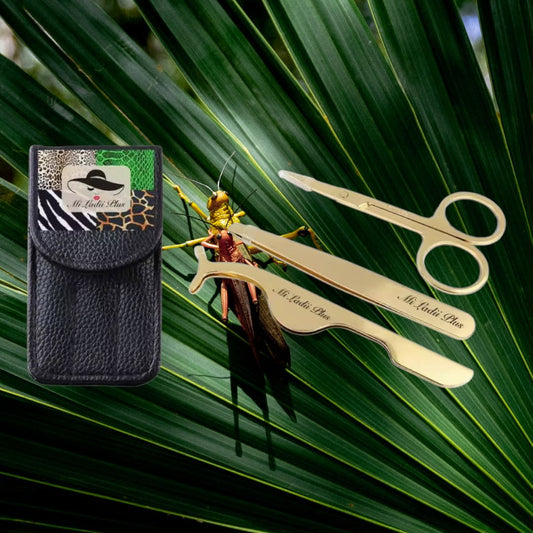 Zebra Shine Eyelash Kit